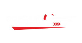 АШ_ФОРСАЖ (1)